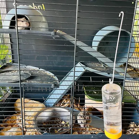 ファームステイ Delle Muse Da Imma