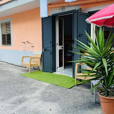 Delle Muse Da Imma ファームステイ