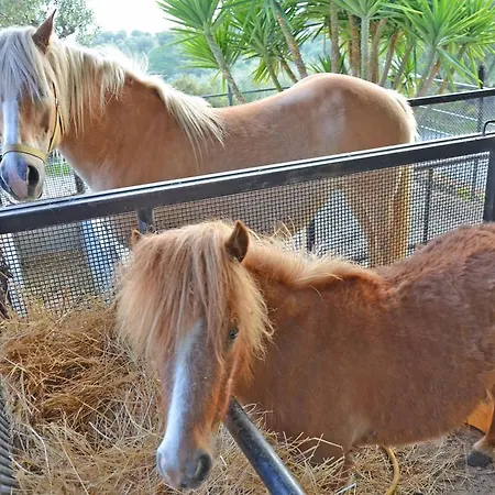 ファームステイ Delle Muse Da Imma *