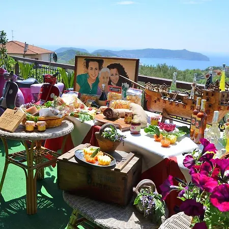 Delle Muse Da Imma *