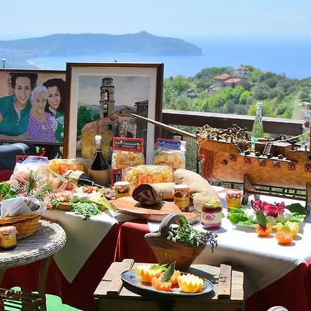 Delle Muse Da Imma ファームステイ