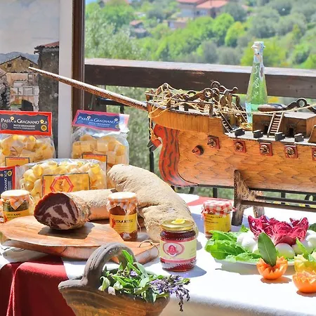 Delle Muse Da Imma *