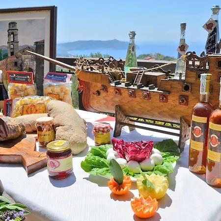 Delle Muse Da Imma ファームステイ