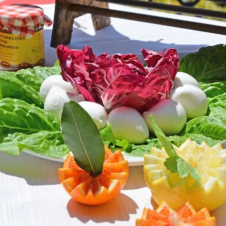 ファームステイ Delle Muse Da Imma *