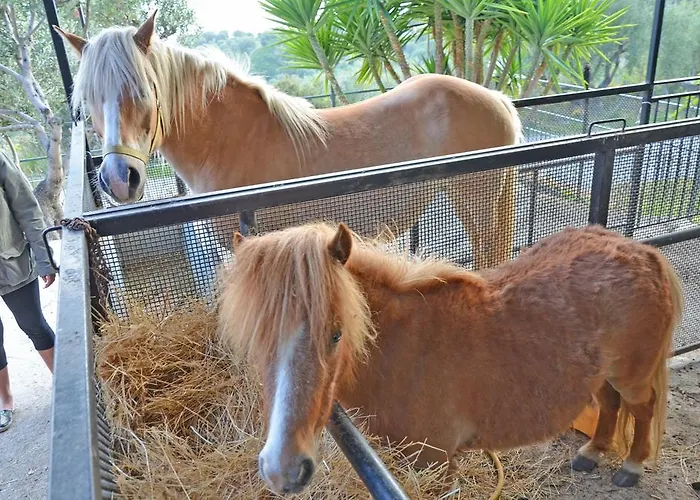 مزرعة للإقامة Delle Muse Da Imma *